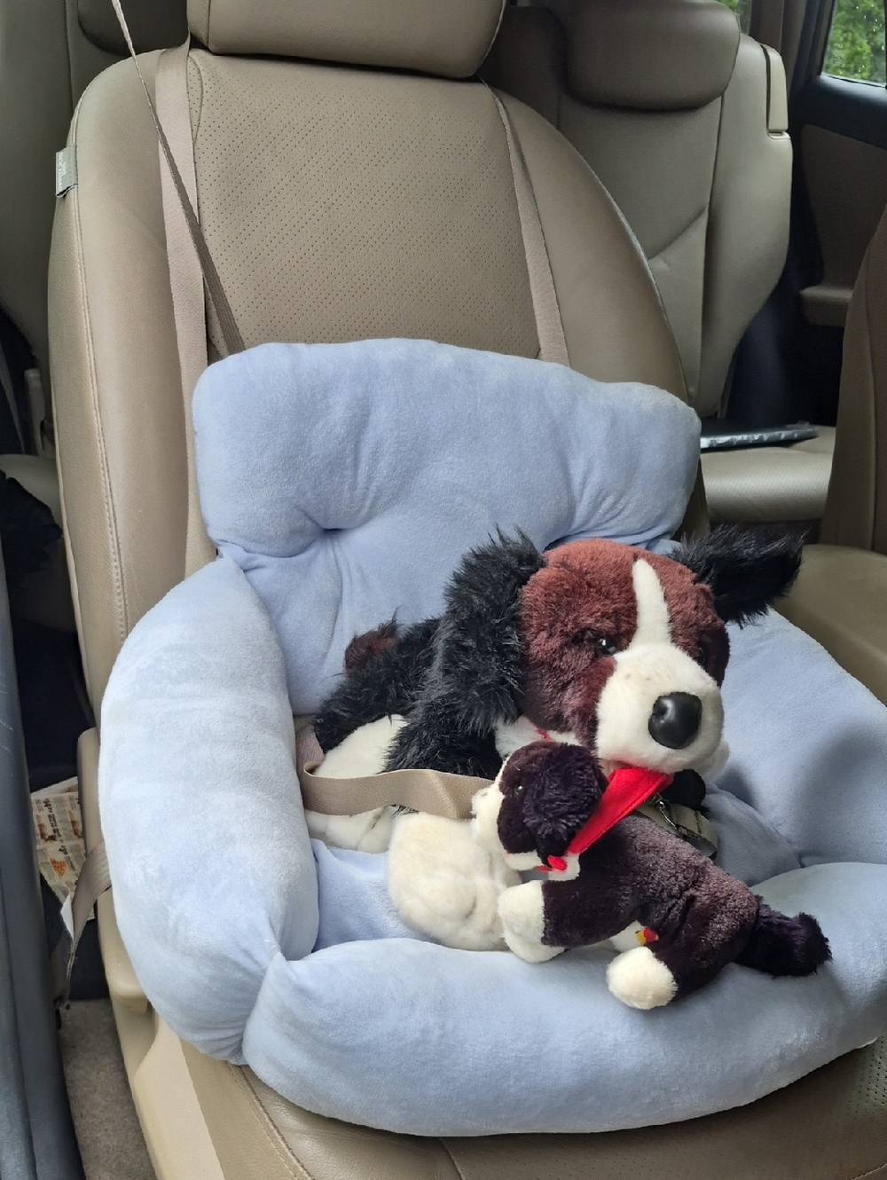 Pet Car Seat For Small Animals & 2 Pet (glow-in-the-dark) Collars with Bells